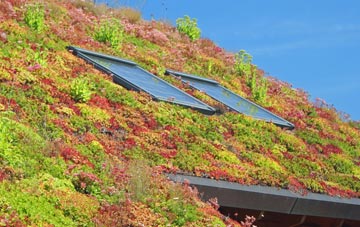 Nassington living roof systems